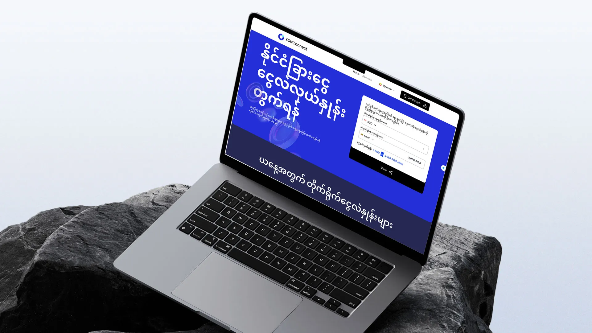 Web Development